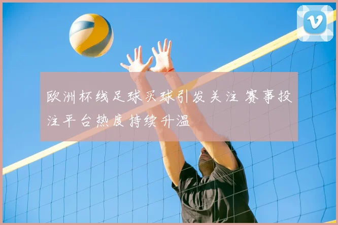 欧洲杯线足球买球引发关注 赛事投注平台热度持续升温