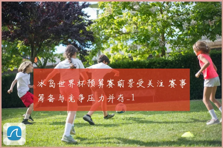 冰岛世界杯预算赛前景受关注 赛事筹备与竞争压力并存_1