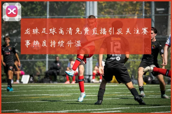 龙珠足球高清免费直播引发关注赛事热度持续升温