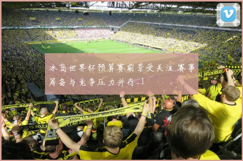 冰岛世界杯预算赛前景受关注 赛事筹备与竞争压力并存_1